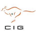 CIG