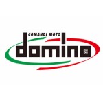 Domino