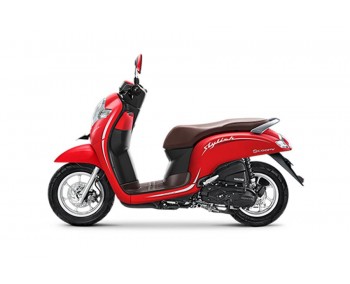  Scoopy  Review Harga Terbaru dan Promo Kredit  2020  Moladin