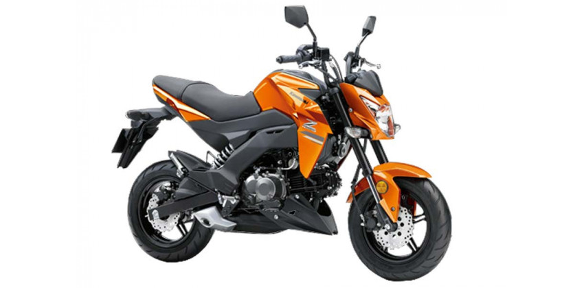 Kawasaki Z 125 PRO