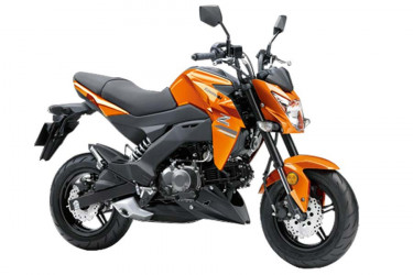 Kawasaki Z 125 PRO