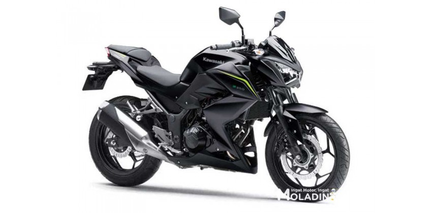 Kawasaki Z 250