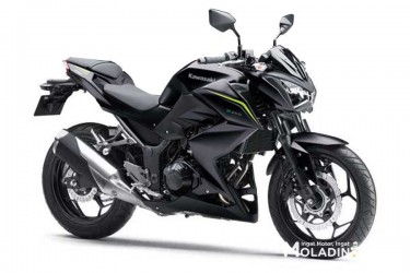 Kawasaki Z 250