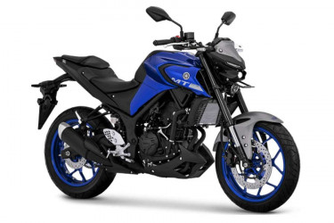 Yamaha MT 25