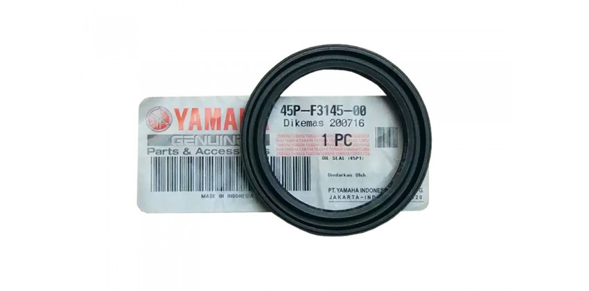 45P-F3145-00 0