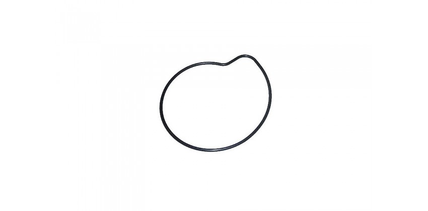 O-Ring Water Pump Case 0
