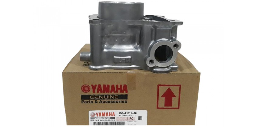 2DP-E1311-10 Piston 0