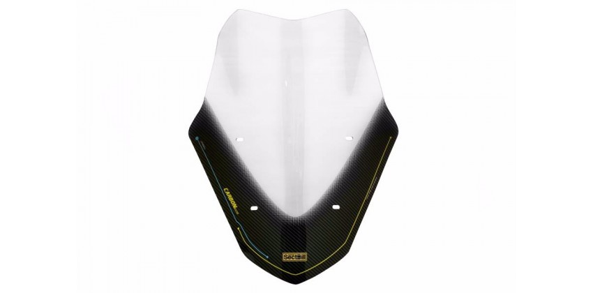 Racer Windshield & Visor Windshield 0