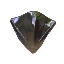 Windshield & Visor Visor Riben 1